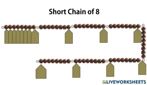 Short Chain of 8