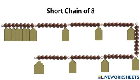 Short Chain of 8