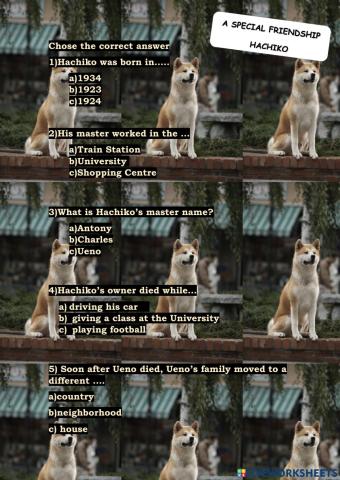 A special frienship: Hachiko