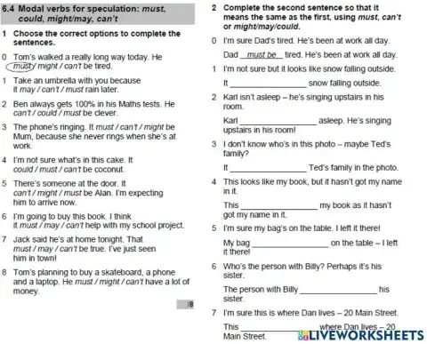 WW3 ( Unit 6)  Revision.Grammar 6.4