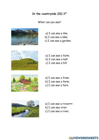In the countryside II 2º