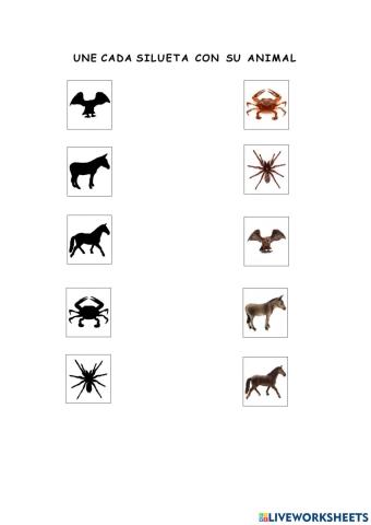 Asociar animal-silueta