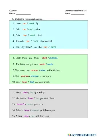 Smileys Junior A' Test Units 5-6