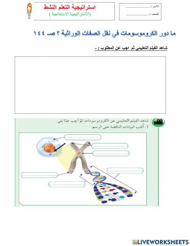 مما يتكون الكرموسوم