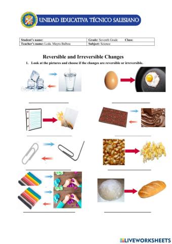 Reversible and Irreversible Changes