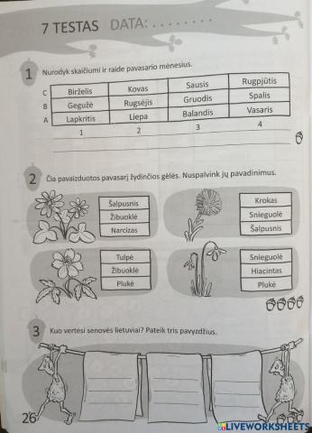 Pasaulio pažinimo 7 testas 1 lapas