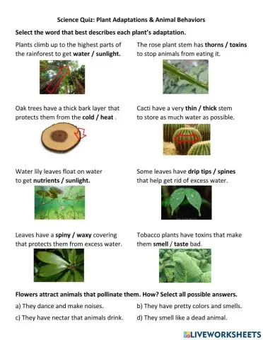 Quiz: animal behaviors and plant adaptations