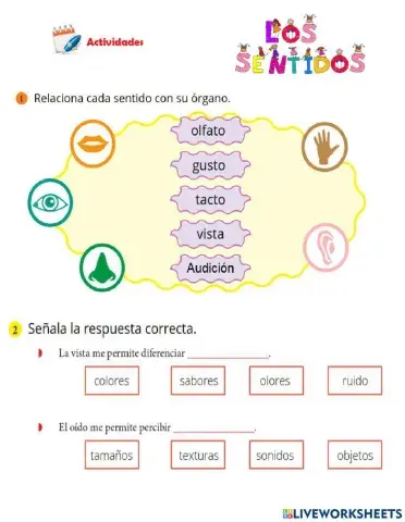1°ciencias naturales los sentidos 31.03.2021