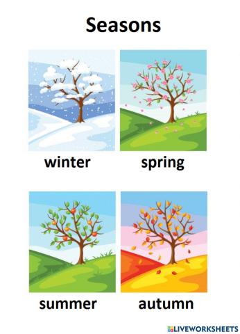 Seasons