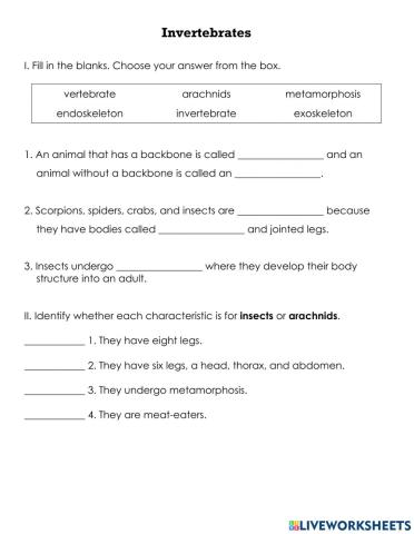 Invertebrates QUIZ