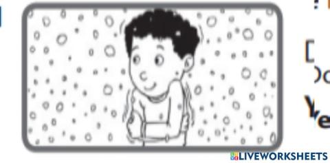 Simple present questions