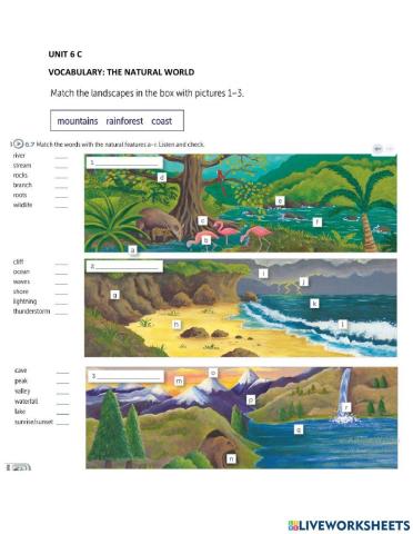 I 3 Unit 6 C Vocabulary