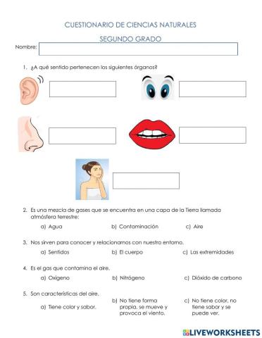3° Cuestionario Ciencias Naturales