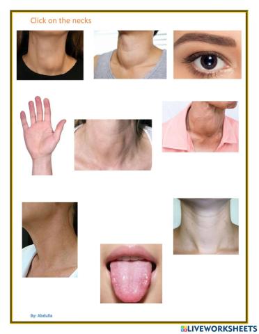 Identify neck
