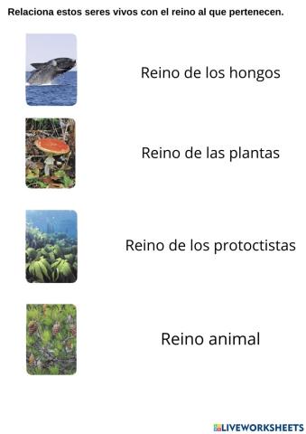 Clasificación de los seres vivos
