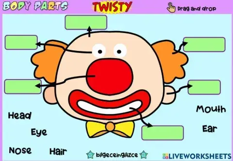 Body Parts (Drag and drop)