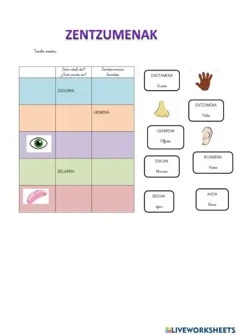 zentzumenak