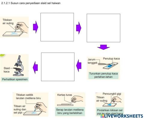 2.1.2.1 Menunjuk cara penyediaan slaid sel haiwan