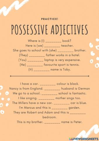 Possessive adjectives
