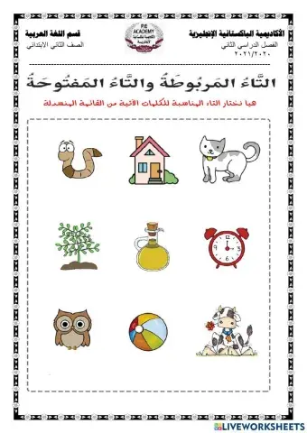 التاء المربوطة والتاء المفتوحة 1