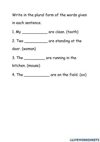 Irregular plural nouns