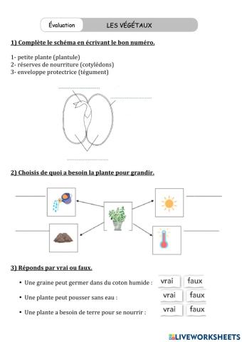 Évaluation besoin des plantes CP