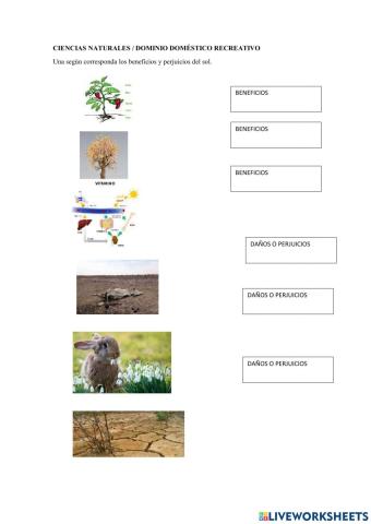 Beneficios y peligros del sol