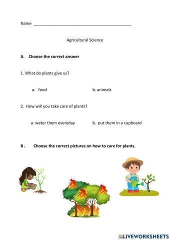 Caring for our plants