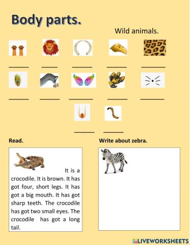 Wild animals. Body parts.