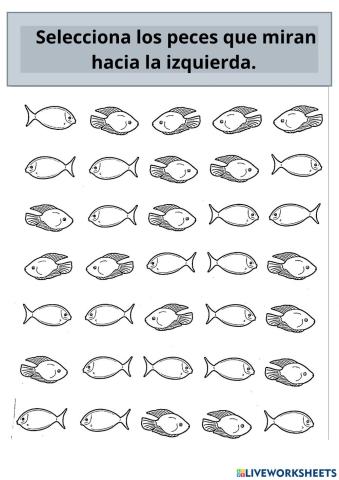 Percepción espacial y lateralidad