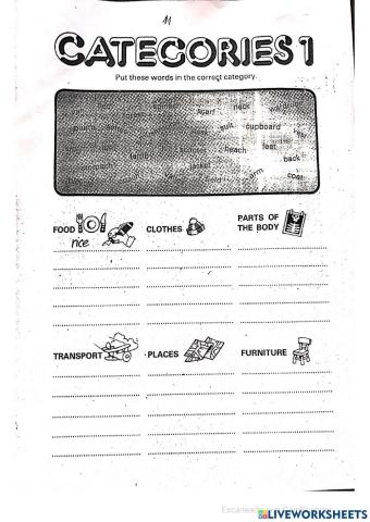 Categories
