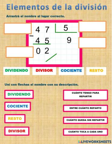 Elementos de la división