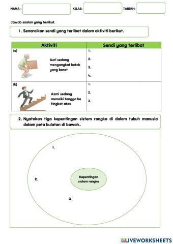 Fungsi sendi dan kepenyingan sistem rangka