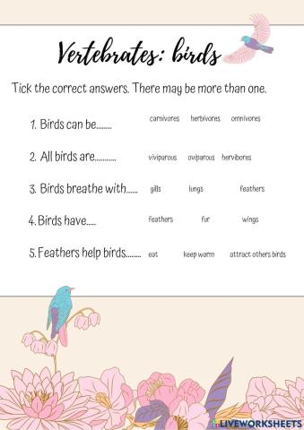 Vertebrates: birds