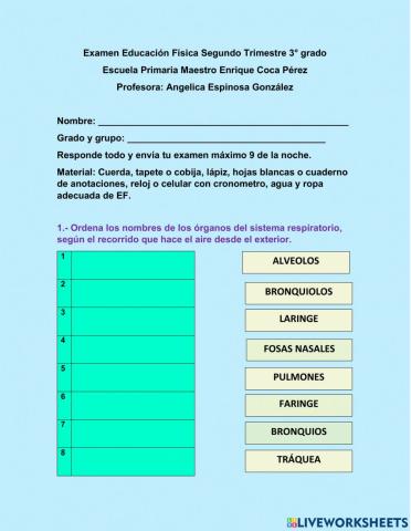 Examen Segundo Trimestre Educación Física
