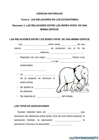 Las relaciones entre los seres vivos de una misma especie.