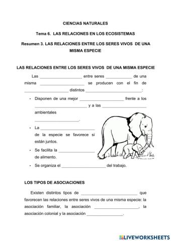 Las relaciones entre los seres vivos de una misma especie.