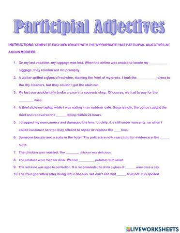 Participial adjectives as noun modifiers