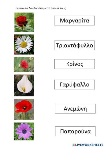 Ενώνω τα λουλούδια με το όνομά τους