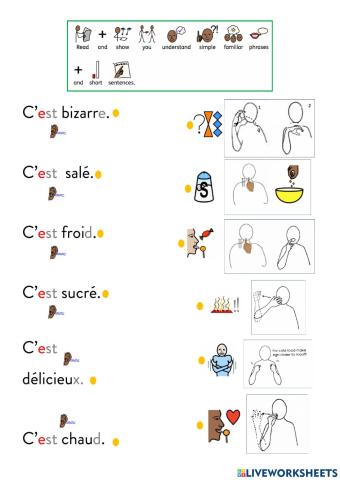 French adjectives food