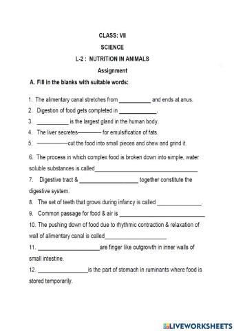Class 7 Digestion worksheet