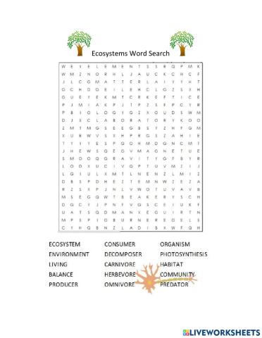 Ecosystem Word Seach
