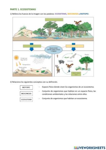 Ecosistema, biotopo y biocenosis