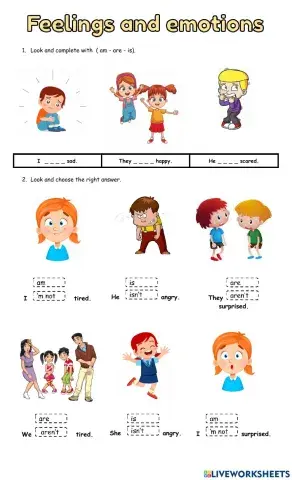 Feelings and Emotions