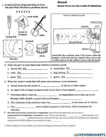 PS-16-02-Sound Vibrations