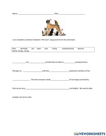 Pets care fill in the blanks