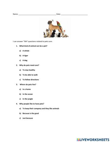 Pets wh questions