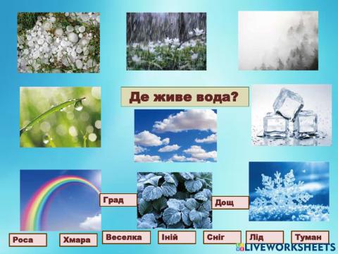 Інтерактивна вправа. Де живе вода?