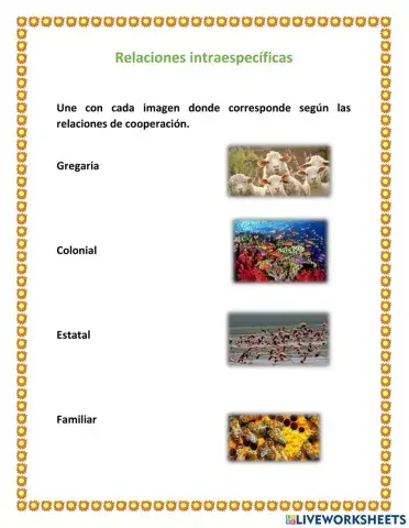 Relaciones intraespecíficas