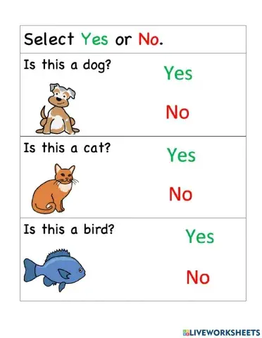 Pets - Select Yes or No for each picture.